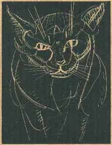 Fra "Katte især" af Doris Lessing, Brøndums Forlag