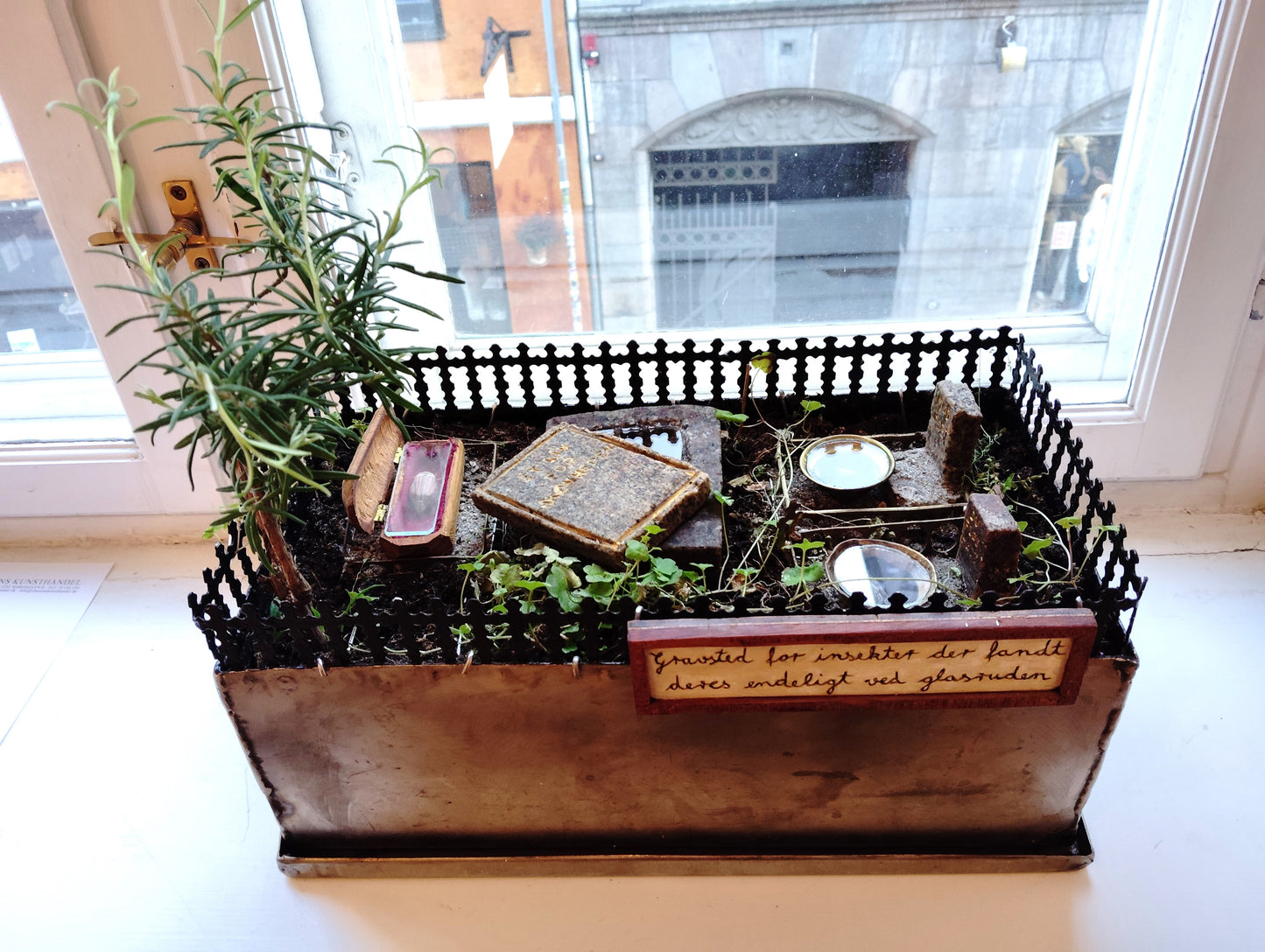 Gravsted for insekter, der fandt deres endeligt ved glasruden