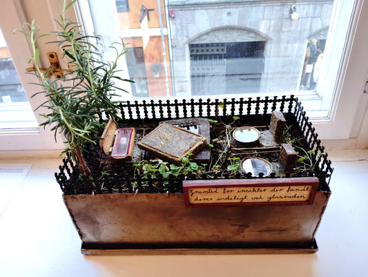 Gravsted for insekter, der fandt deres endeligt ved glasruden