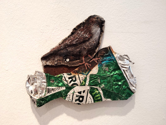 Aluminium gråspurv på rusten stålplade