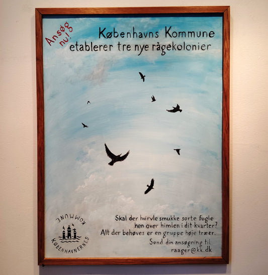 Tre nye rågekolonier