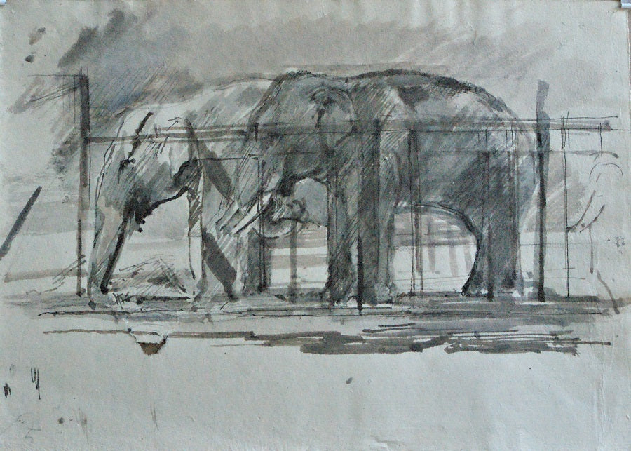 To elefanter i Zoologisk Have.